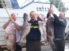 Grey Banded, Hapuka and Bass Groper